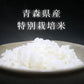 【胚芽米】無農薬＆化学肥料不使用　特別栽培米 お米 つがるロマン ５kg