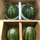 【6月上旬～7月上旬発送予定】小玉すいか (ひとりじめ・まなむすめ・スイートキッズ・黒小玉など) 熊本産 2玉入