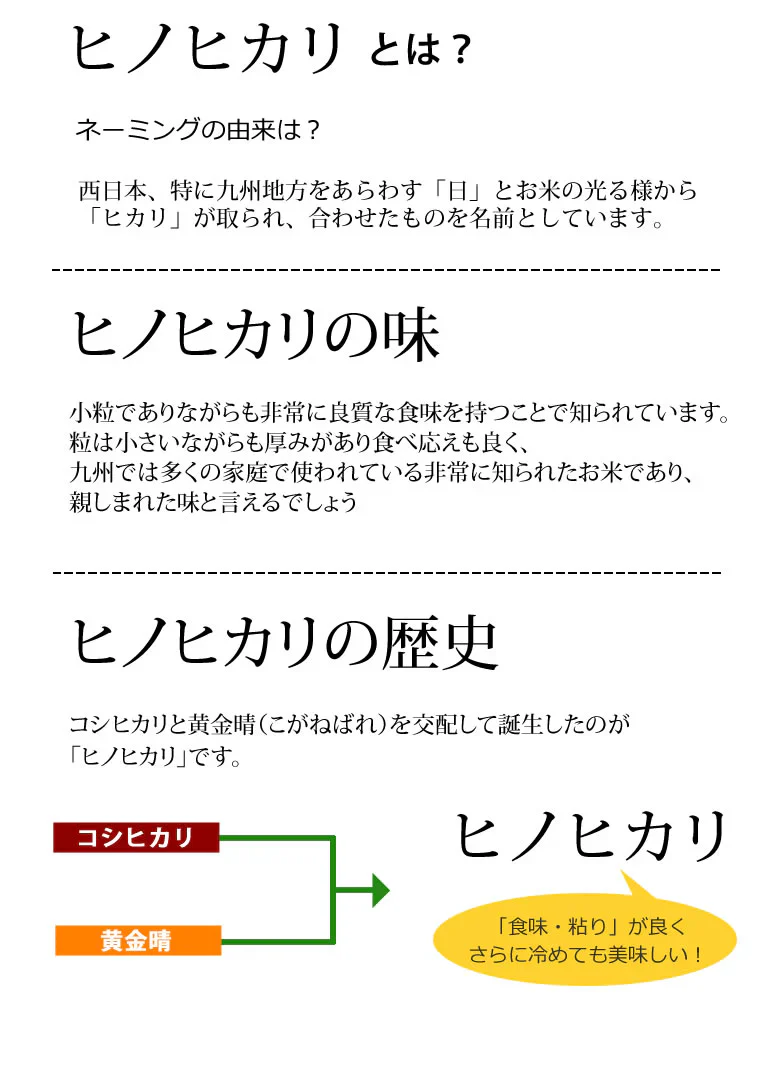 ひのひかり 米 10kg（5kg×2袋） 令和7年産 送料無料 新米 熊本県産 お米 白米 玄米 コシヒカリ 森のくまさん