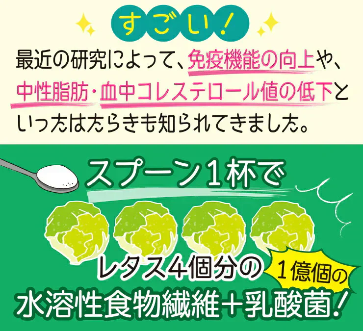水溶性食物繊維＋生きてる乳酸菌パウダー500g／女王様のおすすめ！すごい食物せんい／芽胞乳酸菌までとれちゃいます。ぷるるん姫