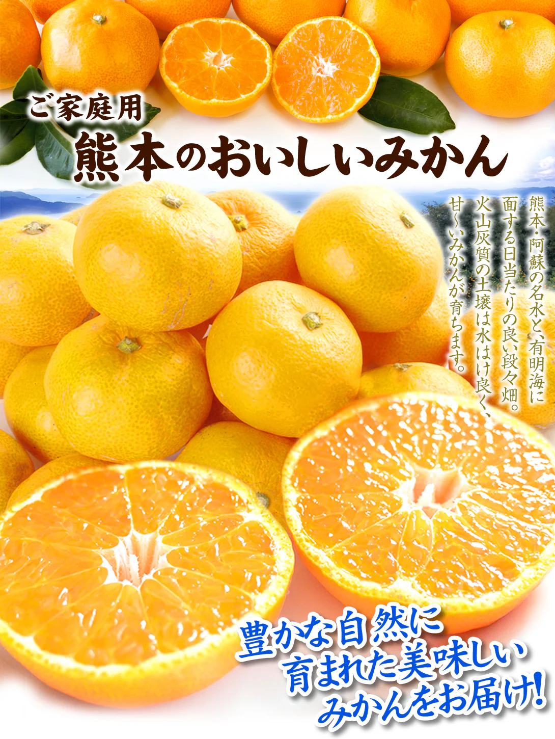 みかん　熊本産　おいしいみかん　5kg　サイズおまかせ　ご家庭用（発送予定：11月中旬より）