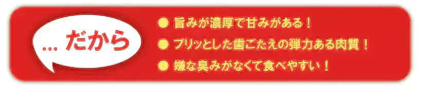 【お買い得】鶏肉 水郷どり切り落とし（もも肉・むね肉）（計３kg）  切り落とし 端っこ 訳あり 鶏肉 焼肉 焼き肉 国産 千葉県産