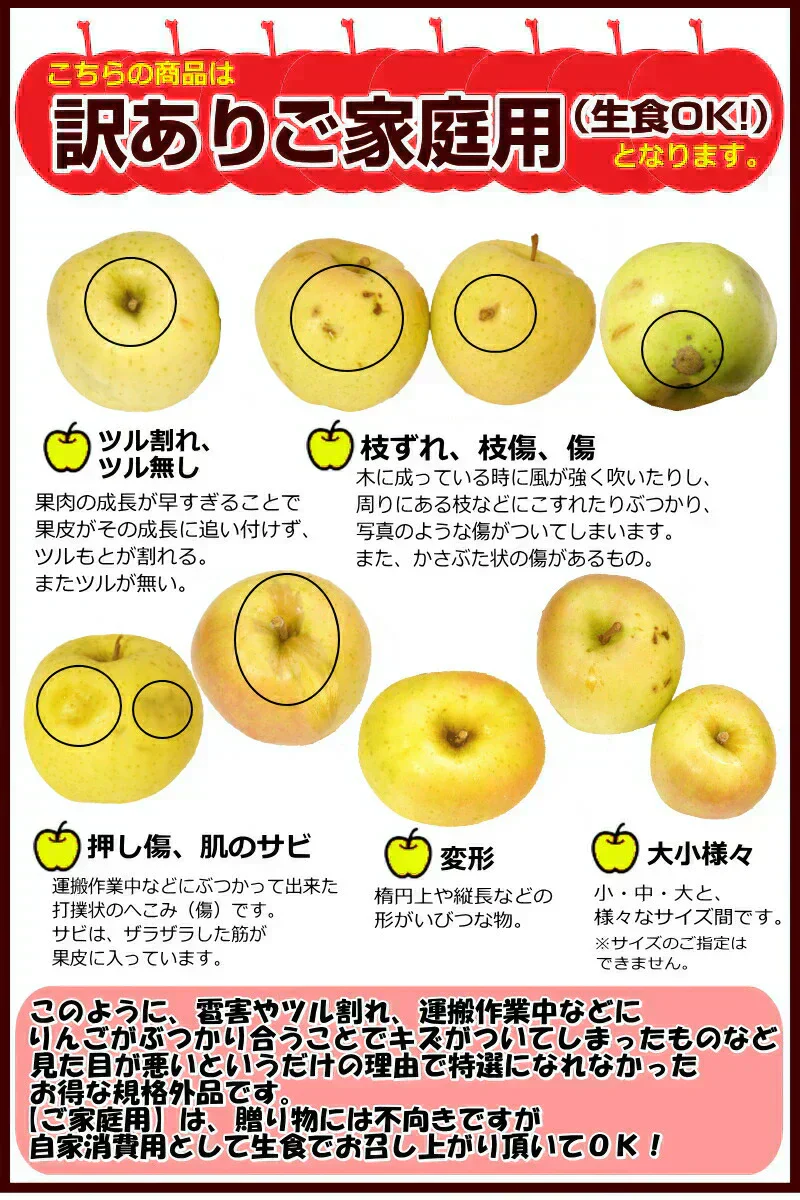 【即日発送】青森県産 りんご トキ 10kg箱 家庭用/訳あり ★トキ 家訳 10kg箱