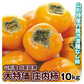 柿 10kg ご家庭用 庄内柿 渋抜き済み 山形産 送料無料 食品(発送予定:2026年11月中旬より)