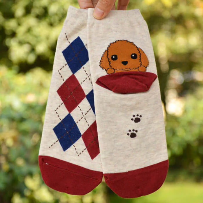 【予約商品・発送時期は商品説明に記載】犬 靴下 6足セット 犬柄 イヌソックス かわいい ボーダー ショートソックス いぬ 靴下 くつ下 ソックス カジュアル 人気 アーガイル 肉球 ランキング 春 夏 秋 冬 女性 レディース 子供 送料無料 ギフト プレゼント