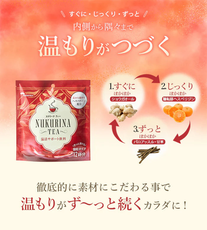 【特価】温もり続く 温活ホットティー ヌクリーナティー アップルジンジャー 3g×12本 健康茶 りんご しょうが 生姜 冷え対策 温まる 温活 国産 ホットティー 生姜茶 プチギフト 贈り物