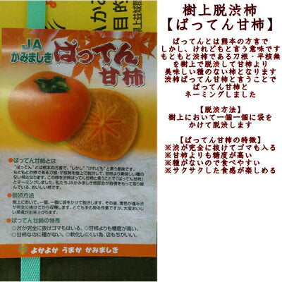 【10月中旬より順次発送予定】ばってん甘柿 訳あり 3kg×3箱(1箱 約3kg) 樹上脱渋柿 種なし柿 送料無料