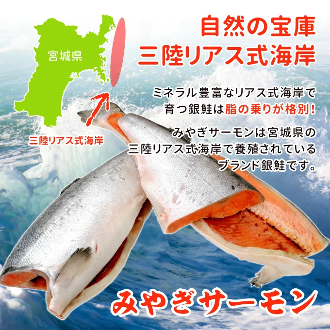 国産塩銀鮭 2kg20切（10切×2）送料無料