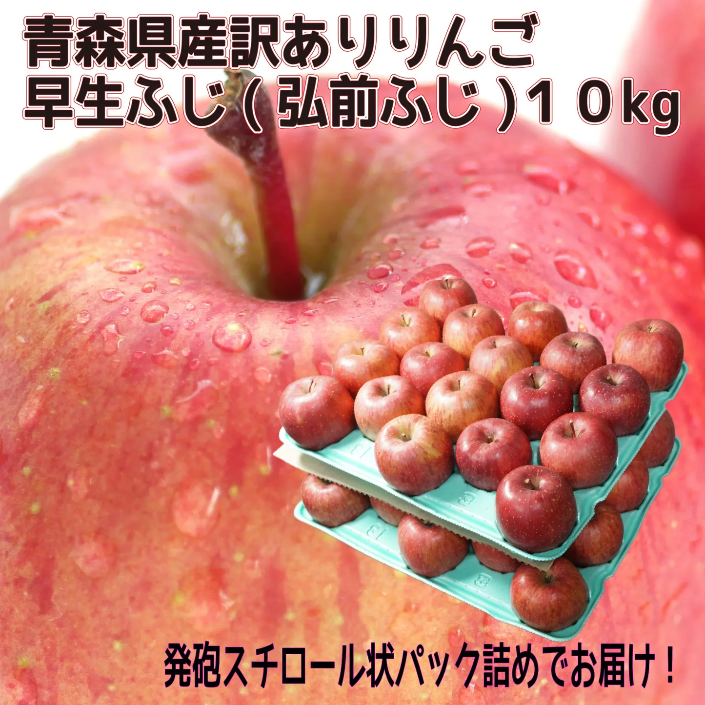 青森県産　家庭用　早生ふじ（弘前ふじ）　パック詰め　10kg　送料無料！