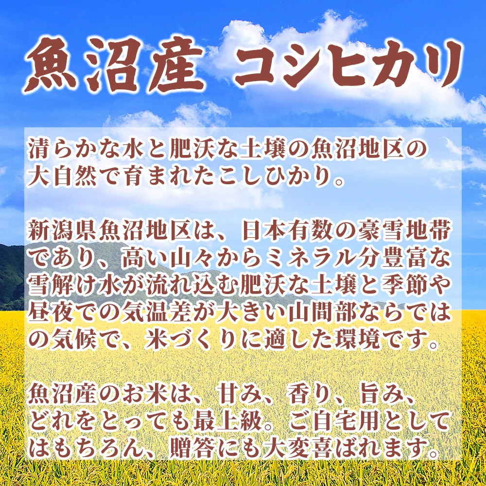【白米】魚沼産 コシヒカリ 5kg 精白米 国産 国産コシヒカリ100％ 送料無料 精米工場からの直送品