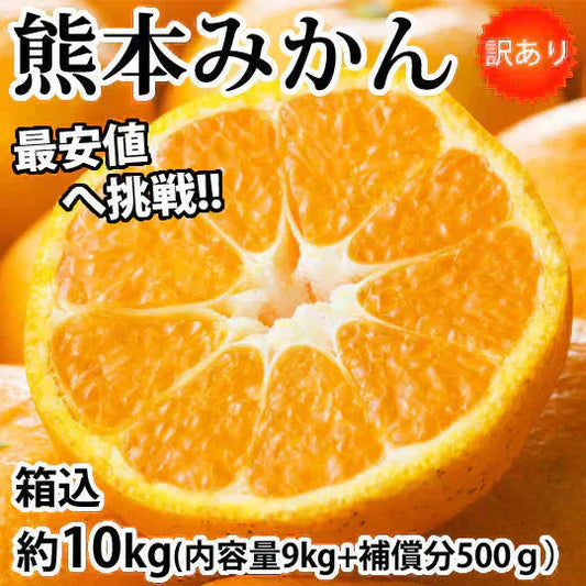 みかん 10kg 送料無料 訳あり 箱込（内容量9kg＋補償分500g) 無選別 熊本みかん 極早生みかん 早生みかん 温州みかん蜜柑 ミカン