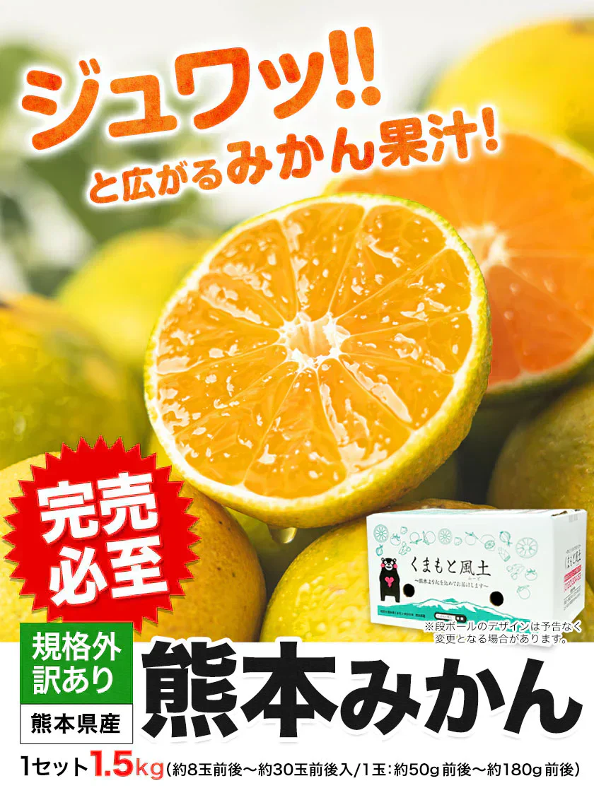 産地直送 熊本県産 みかん 訳あり 送料無料 熊本ミカン 大玉 小玉 不選別 規格外 果物 柑橘 九州 訳アリ 蜜柑 みかん 3-7営業日以内に発送予定（土日祝除く）