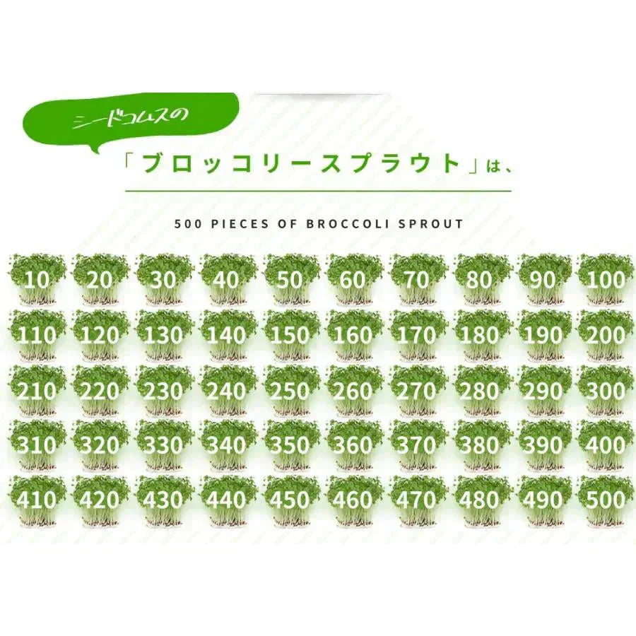 ブロッコリースプラウト《約3ヶ月分》 サプリ サプリメント 健康 女性 ダイエット スルフォラファン スーパーフード ブロッコリー スプラウト すっきり 栄養補給