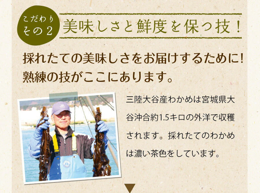日本橋いなば園 三陸産カットわかめ 40g メール便送料無料