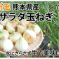 玉ねぎ サラダ玉ねぎ 10kg 送料無料 新玉 S～L 熊本県産 玉葱 たまねぎ 野菜