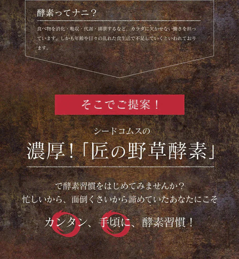 匠の野草酵素《約3ヶ月分》  送料無料 サプリ サプリメント 酵素 野草酵素 健康  スーパーフード 健康食品 野菜不足 乳酸菌 ダイエット 美容 ビタミン ビタミンC【大容量】