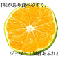 【10月上旬～中旬頃より順次出荷】みかん 訳あり 送料無料 1.5kg  熊本みかん 熊本県産 極早生みかん 蜜柑 ミカン