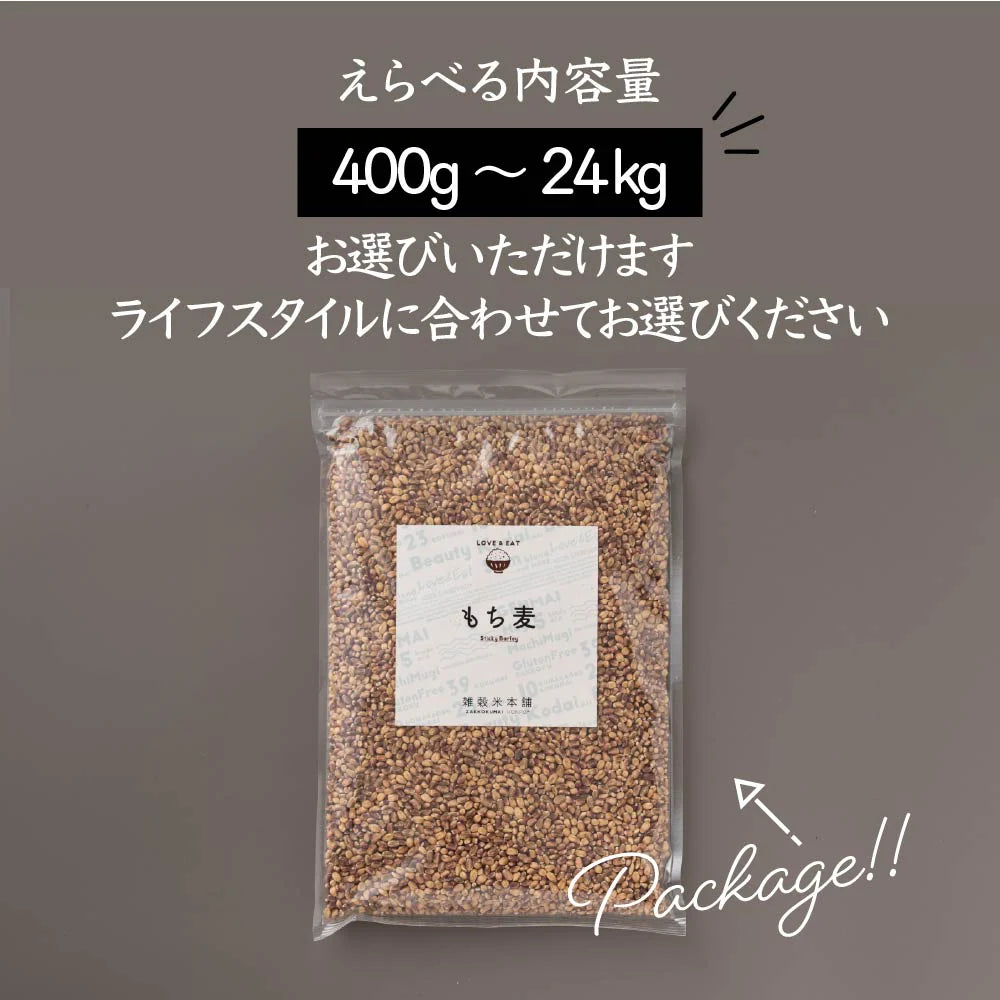 雑穀 雑穀米 国産 もち麦 24kg(400g×60袋) 業務用サイズ 無添加 無着色 送料無料 ダイシモチムギ