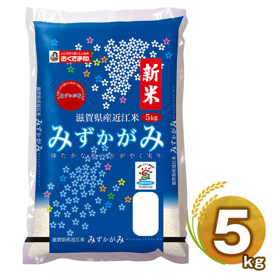 令和6年度産 滋賀県産 みずかがみ 5kg【送料込み】