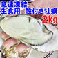 急速凍結 生食用冷凍牡蠣 殻付き 牡蠣 送料無料 ２ｋｇ（目安20個程度） 冷凍便 牡蠣 殻付き 殻付 カキ 牡蛎 かき 松島牡蠣屋 BBQ バーべキュー 二枚貝 貝類  kaki かきカキ