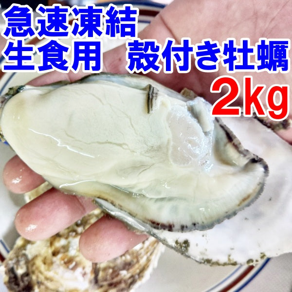 急速凍結 生食用冷凍牡蠣 殻付き 牡蠣 送料無料 ２ｋｇ（目安20個程度） 冷凍便 牡蠣 殻付き 殻付 カキ 牡蛎 かき 松島牡蠣屋 BBQ バーべキュー 二枚貝 貝類  kaki かきカキ