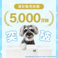 【ワイドサイズ/100枚入り】超薄型 ペットシーツ ペットシーツ 多頭飼い 大容量 まとめ買い 業務用 ペット用 ペットシート トイレシート 犬 猫 トイレシーツ ペット用シーツ ペットシート おしっこシート おむつ替えシート 送料無料