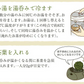 【2個セット】日本橋いなば園 静岡県産 上級深蒸し茶 おもむき 100g メール便 送料無料