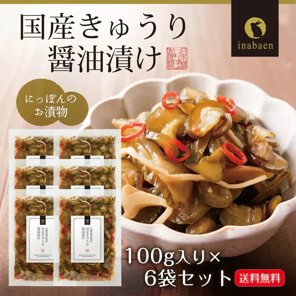 【6個セット】日本橋いなば園 国産きゅうり醤油漬け 100g メール便送料無料