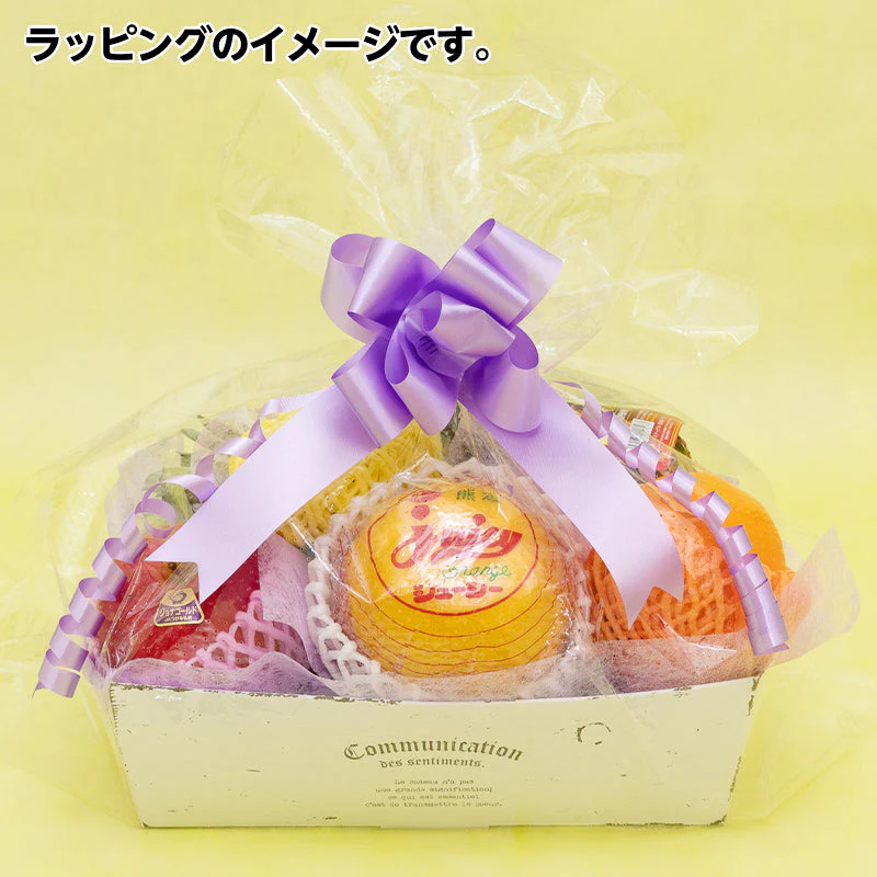 【当店人気NO.2】果物籠盛ギフトa 一年を通じほぼ紹介写真通り 送料無料 プレゼント ギフト お盆 新盆 法事 お供え物 ご供物 お見舞い 果物 くだもの 高級 フルーツセット フルーツ盛り合わせ 御霊前 御仏前 盛り籠 お中元 御中元 夏ギフト フルーツギフト 贈答用
