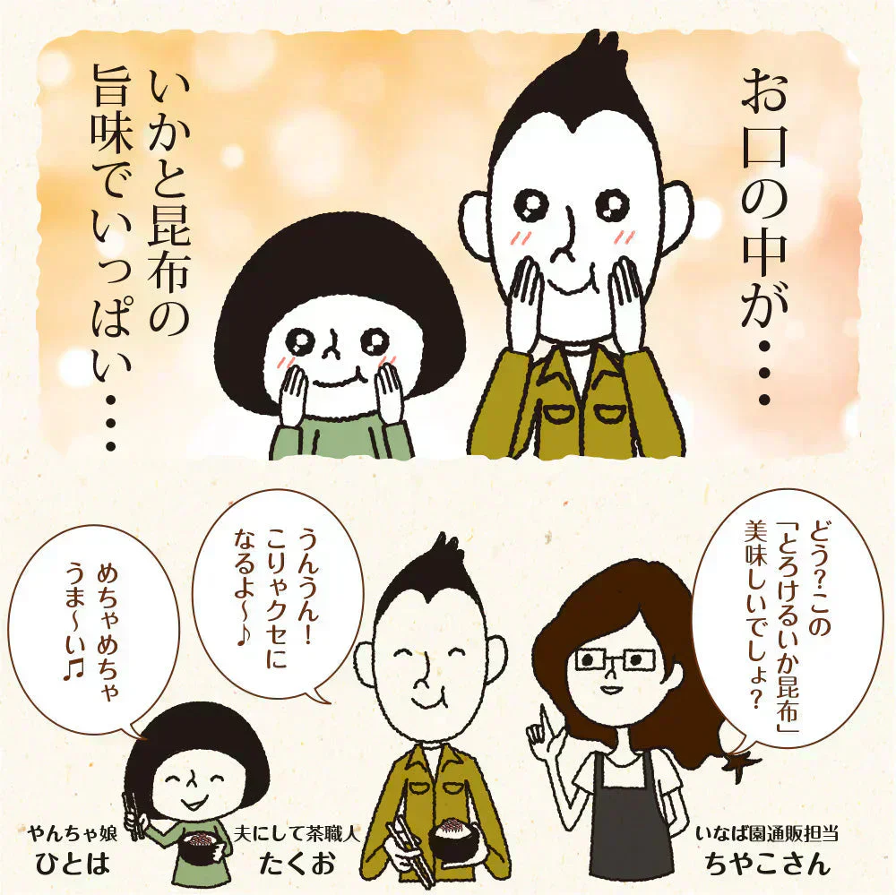 【3個セット】日本橋いなば園 とろけるいか昆布ふりかけ 30g メール便 送料無料