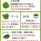【輝きの青汁プラセンタ 入り 3g×30包入り 送料無料】 ダイエット サプリメント 大麦若葉 抹茶 乳酸菌 食物繊維 ビタミンC カルシウム 青汁プラセンタ【ご新規さん限定商品】