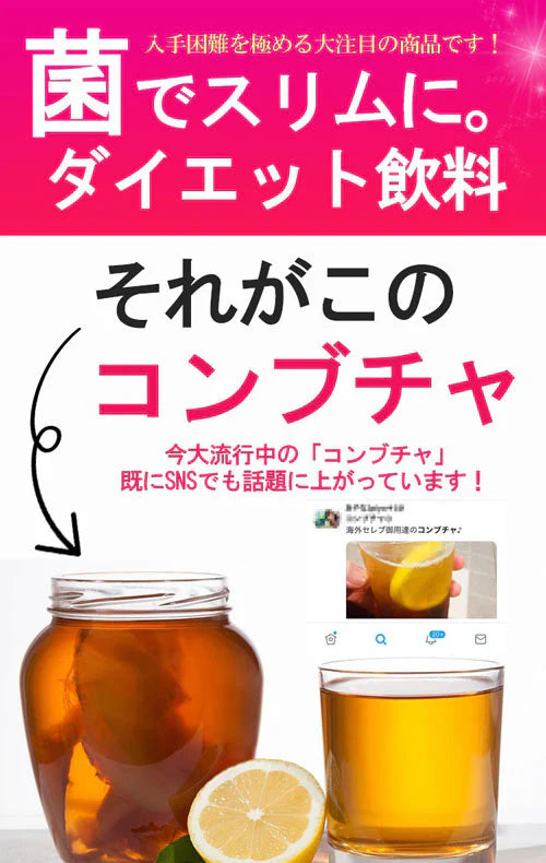 コンブチャプレミアム KOMBUCHA PREMIUM ハリウッドセレブも注目しているコンブチャ 話題のコンブチャでスッキリ習慣【スッキリ 美ボディ ビタミン酵母 キトサン 葉酸などを追加してパワーアップ 紅茶 菌 酵母 昆布茶 ヘルシー発酵 生酵素 昆布 ヘルシー発酵飲料 美味しい 乳酸菌 キノコキトサ 酵母 腸活 ダイエットドリンク ダイエットティー ダイエット紅茶