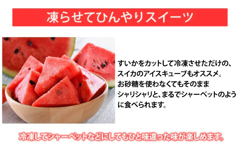 スイカ すいか 送料無料 熊本すいか 秀品 1玉 約3.5kg～5kg 熊本県産 西瓜 フルーツ