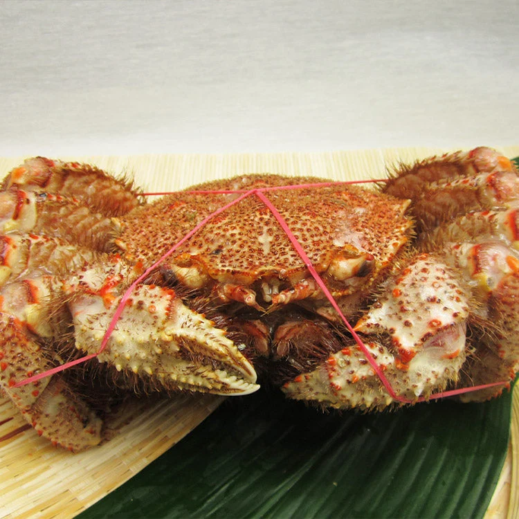 【数量限定】幻の巨大毛ガニ1尾約1ｋg 送料無料 《※冷凍便》 _姿_蟹 お取り寄せグルメ 食品 ギフト