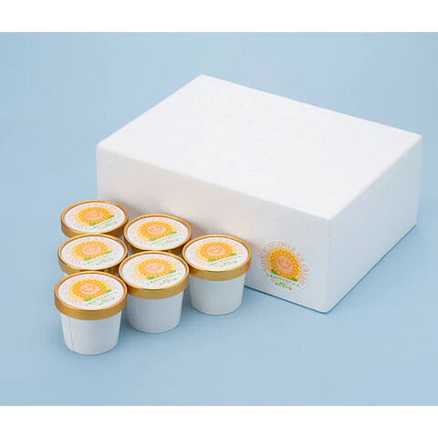 佐用町 南光ひまわり館 「ひまわりアイスクリームセット 130ml×10個」