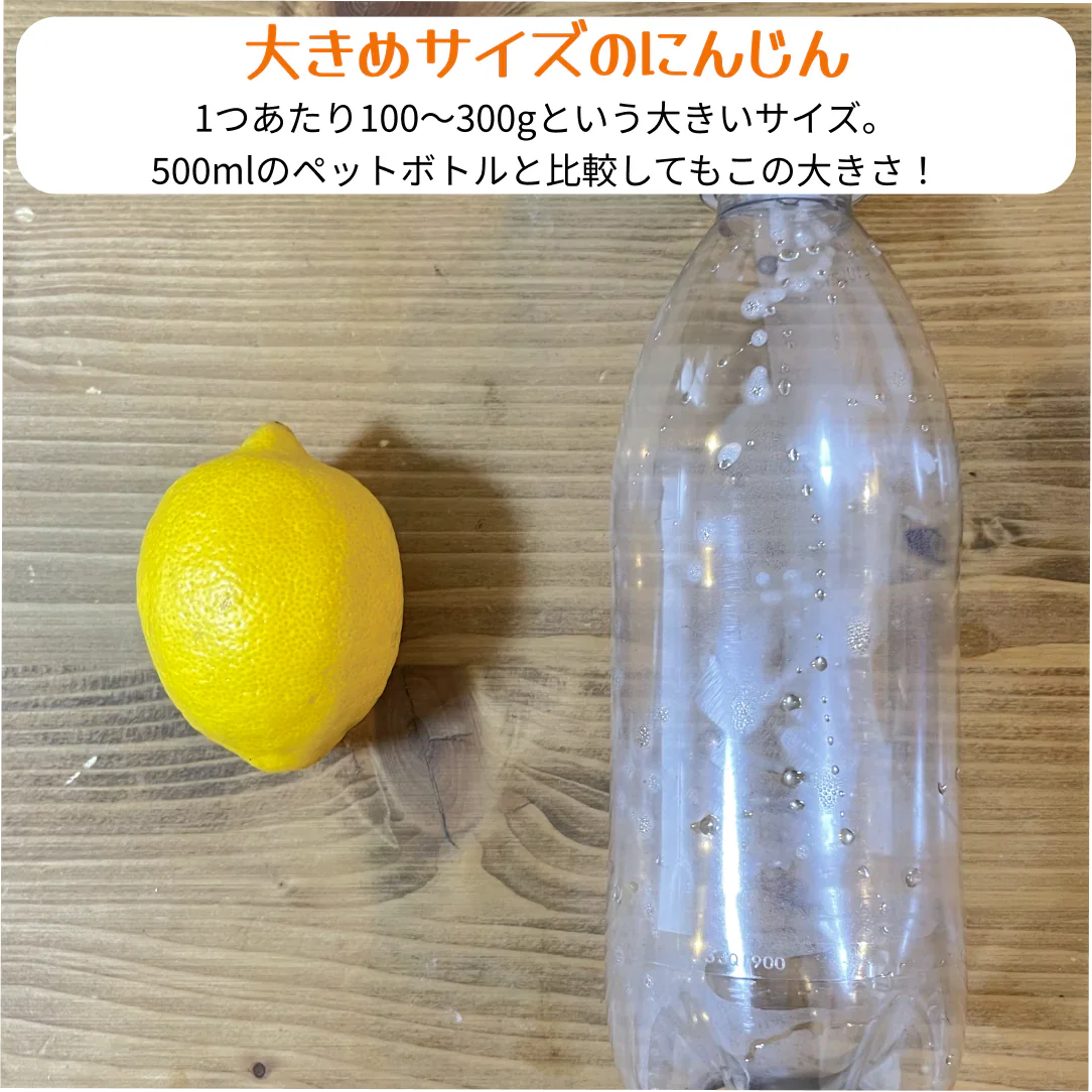 レモン　3キロ　　訳ありではございません！！