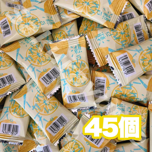 【 イカ天 瀬戸内れもん味 45個セット 】 駄菓子 お菓子 おつまみ おやつ まとめ買い 大人買い お試し セット レモン ばらまき 常温発送 ポスト投函