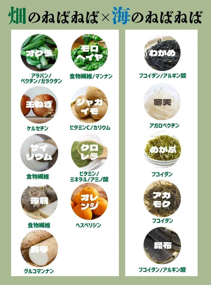 女王様のすごいねばねばスープ 12包／野菜買うより断然お得 1日の不足分６０００ｍｇネバネバ食物繊維／おいしく腸活　ぷるるん姫