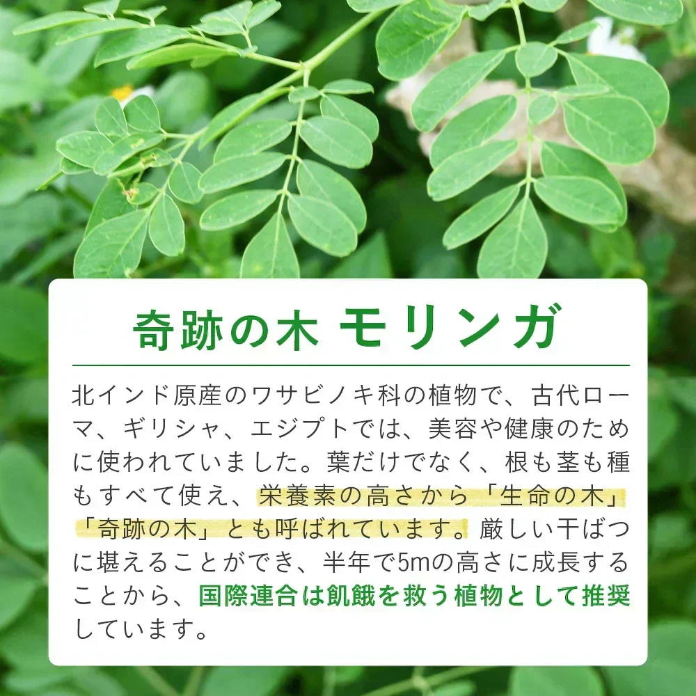 沖縄県産　モリンガ《約1ヶ月分》 モリンガ 粒 150粒 無農薬栽培 着色料 保存料 不使用
