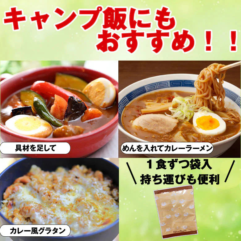 スープカレー 送料無料 8食入 粉末タイプ カレーうどん カレーラーメン カレーメシ