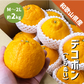 和歌山県産 デコポン 約2kg 和歌山 でこぽん 凸ポン しらぬい 不知火 ギフト 自宅用 贈答 柑橘 ありだ