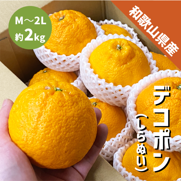 和歌山県産 デコポン 約2kg 和歌山 でこぽん 凸ポン しらぬい 不知火 ギフト 自宅用 贈答 柑橘 ありだ