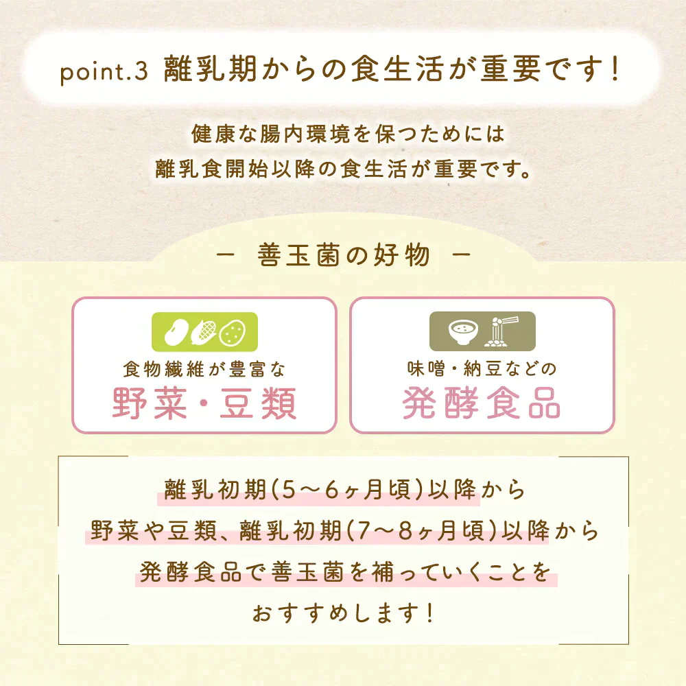 ぱくぱく野菜パウダー 22種類配合 70g×1袋