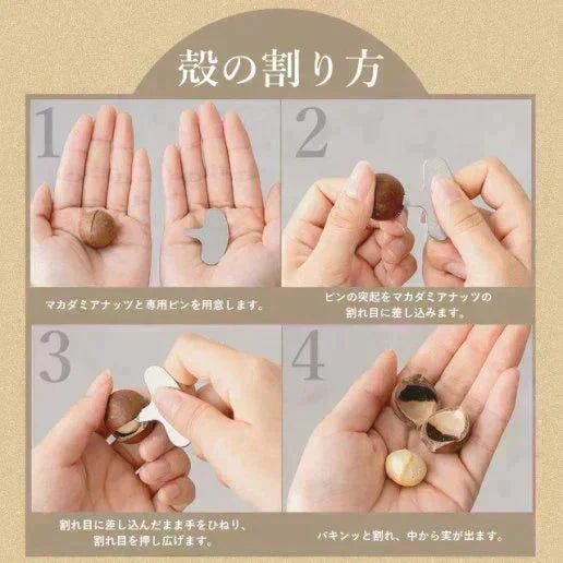 殻付きマカダミアナッツ 300g 送料無料