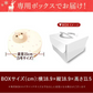 【Xmasケーキ】 トナカイケーキ 【おいもや】  5号・3～4人用 クリスマスケーキ XM
