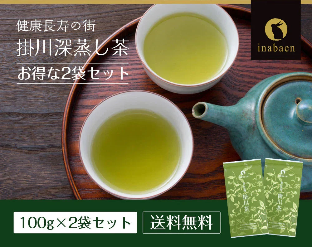 【2個セット】日本橋いなば園 静岡深蒸し茶 掛川茶 100g メール便 送料無料