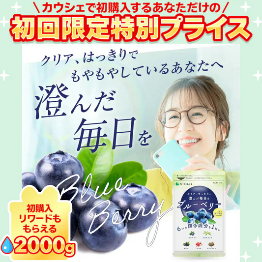 ブルーベリー 《約3ヶ月分》 送料無料 サプリ サプリメント 健康 ブルーベリー ビルベリー メグスリノキ カシス クコシ アイブライト ビタミン アイケア【大容量】【ご新規さん限定商品】