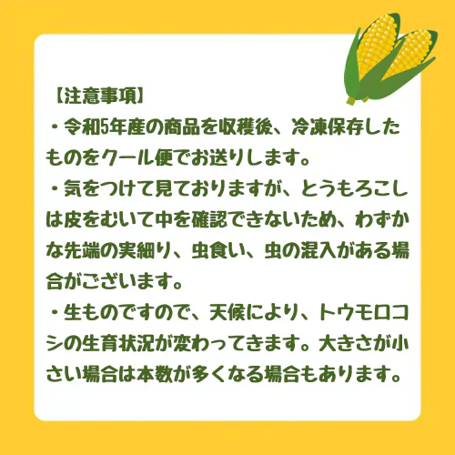 農家直送！メロンより甘い！博多あまっコーン4.5㎏【上部カット品】（約22本）（冷凍）