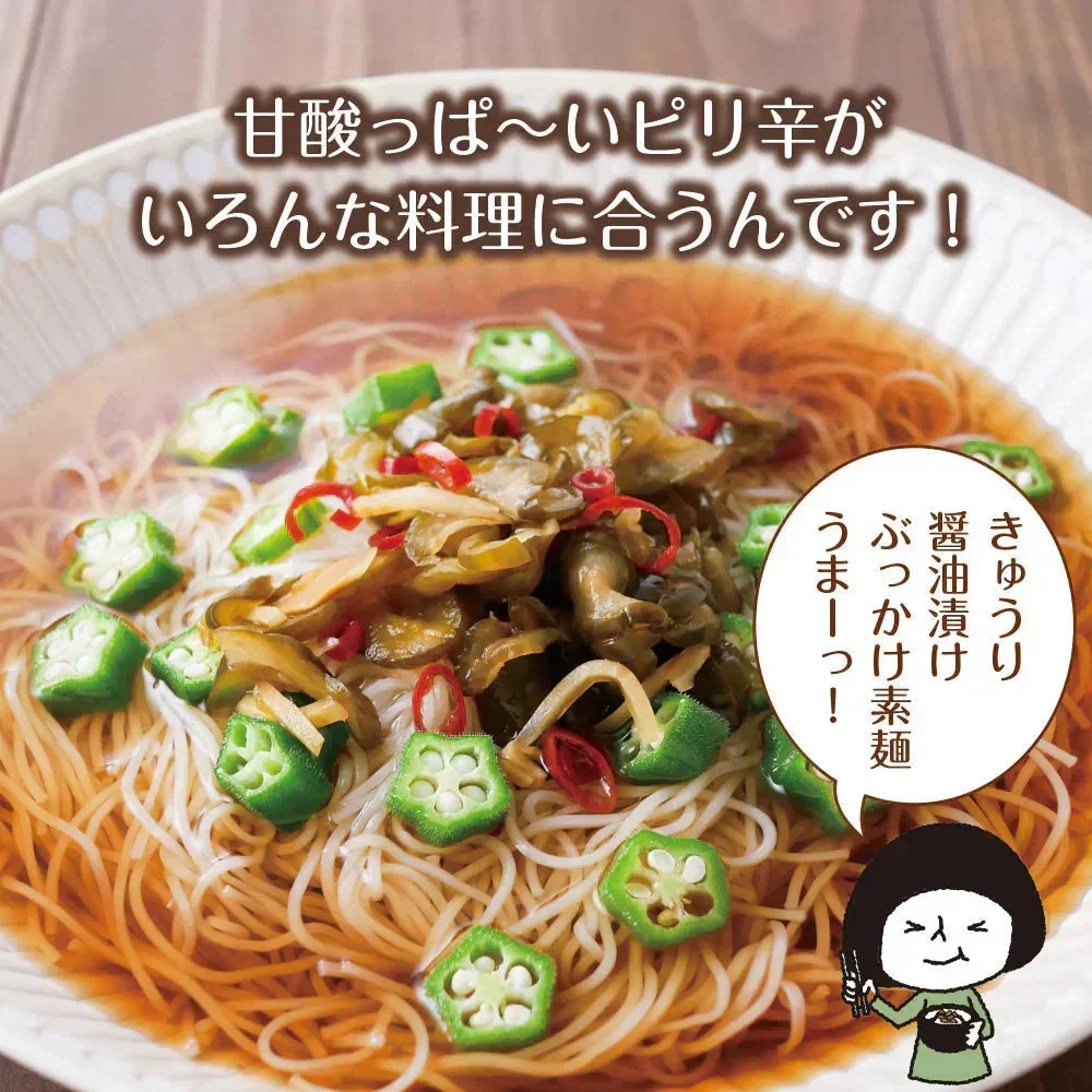 【6個セット】日本橋いなば園 国産きゅうり醤油漬け 100g メール便送料無料