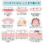 Ci PRO ワンタフトブラシ レギュラーヘッド Sやわらかめ 10本セット【メール便送料無料】